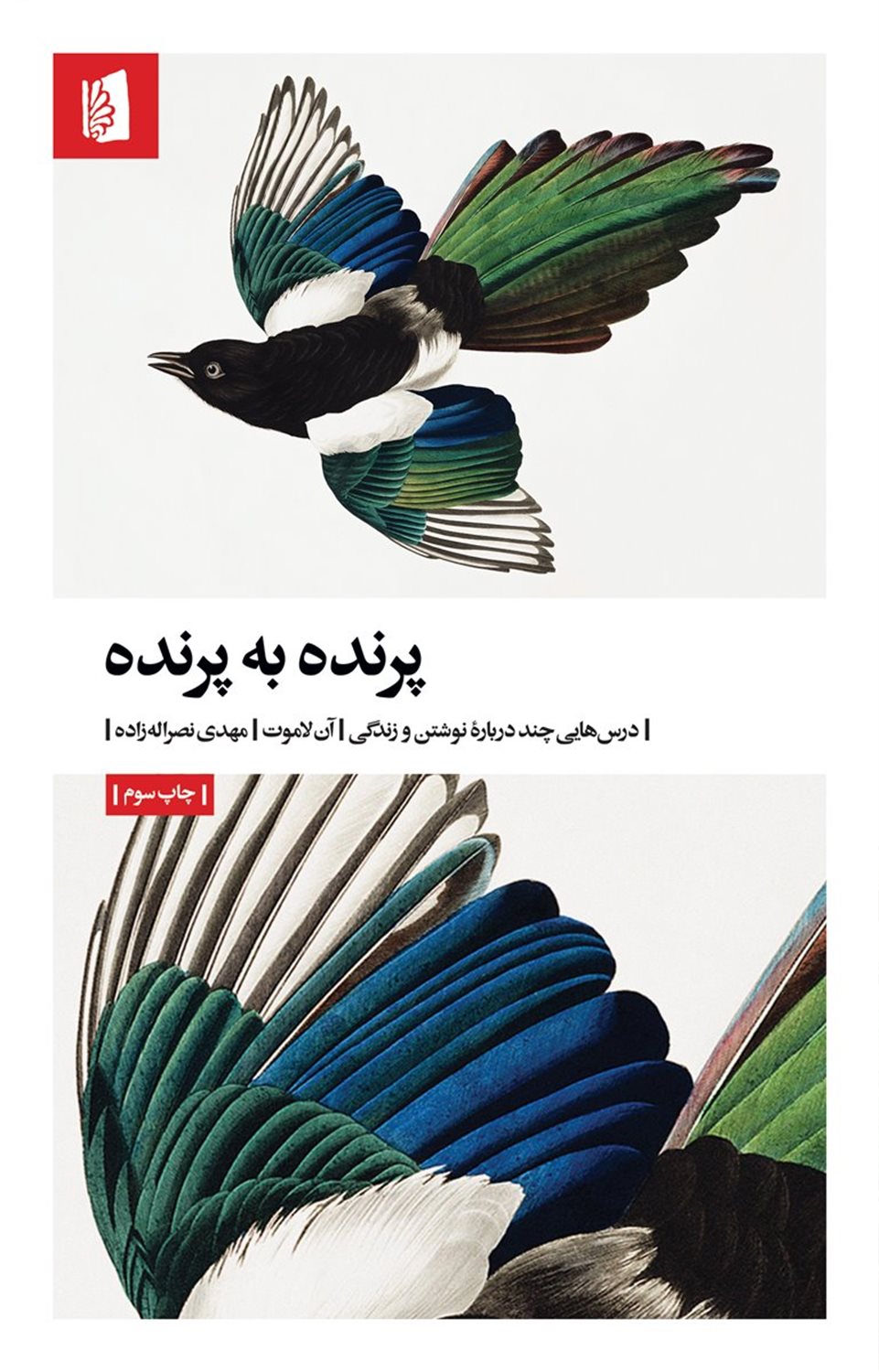 پرنده به پرنده