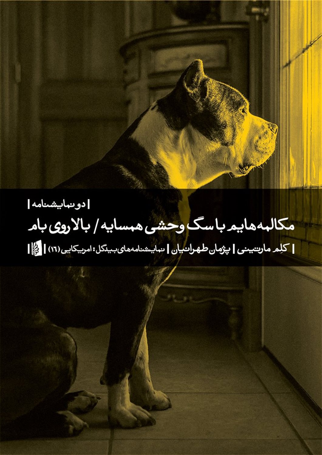 مکالمه‌هایم با سگ وحشی همسایه، بالا روی بام