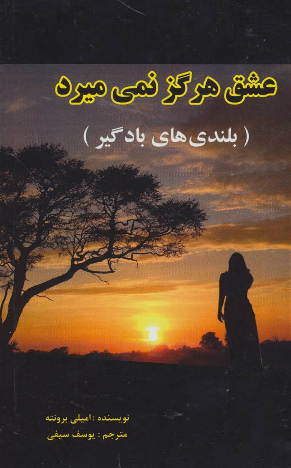 عشق هرگز نمی میرد 