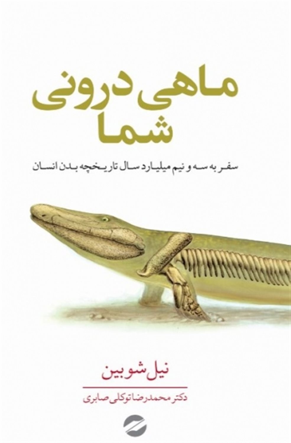 ماهی درونی شما 