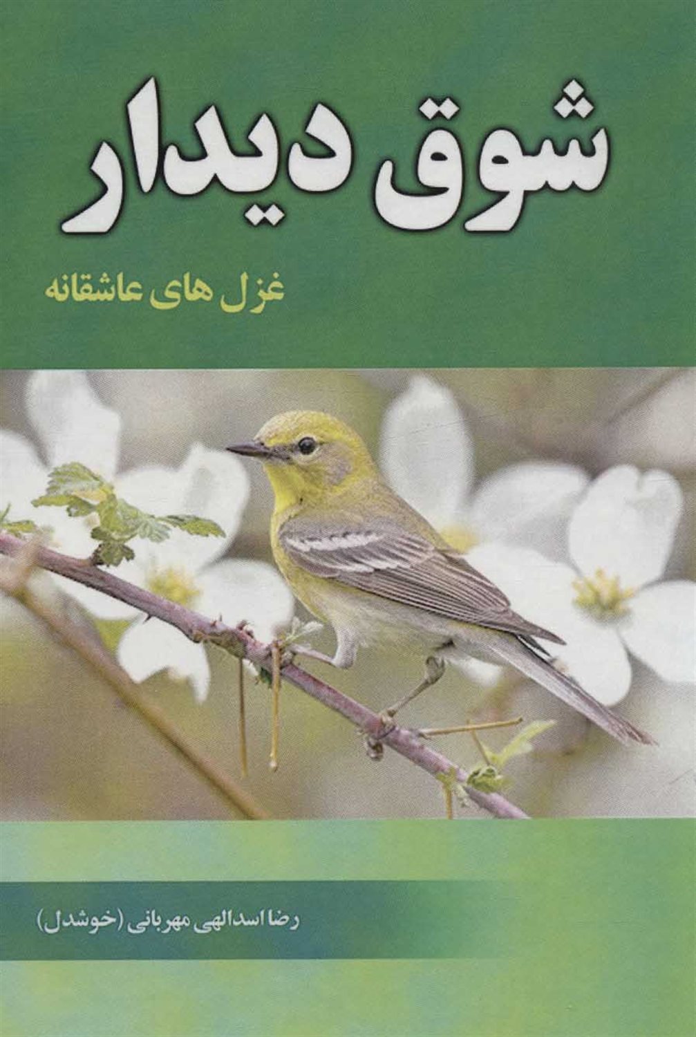 شوق دیدار 