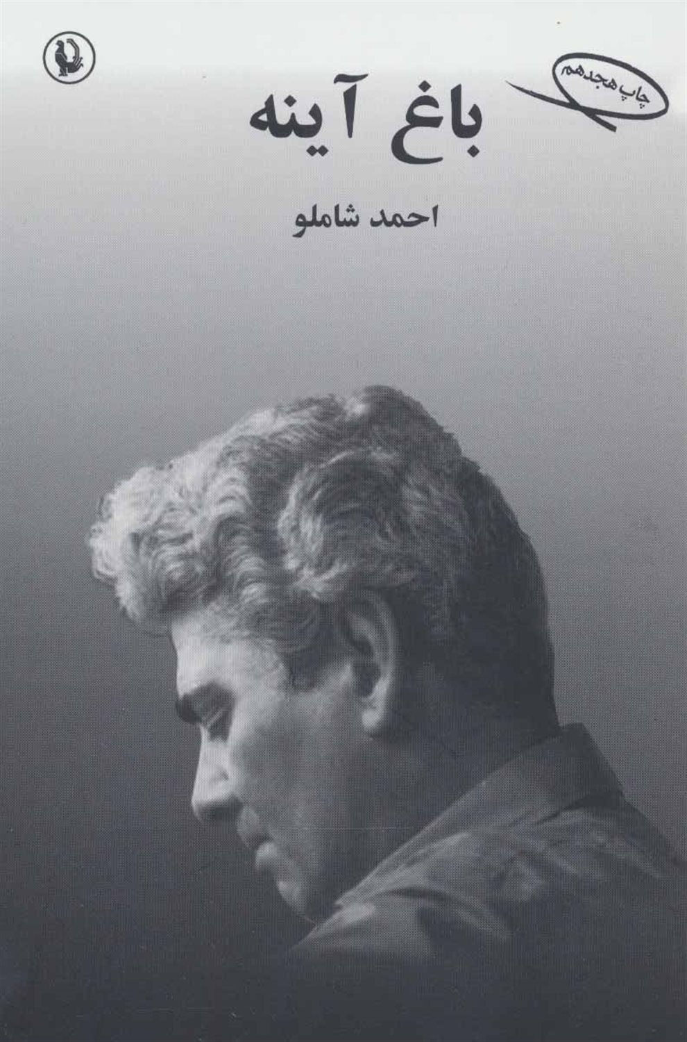 باغ آینه: شعرهای 1335 تا 1339