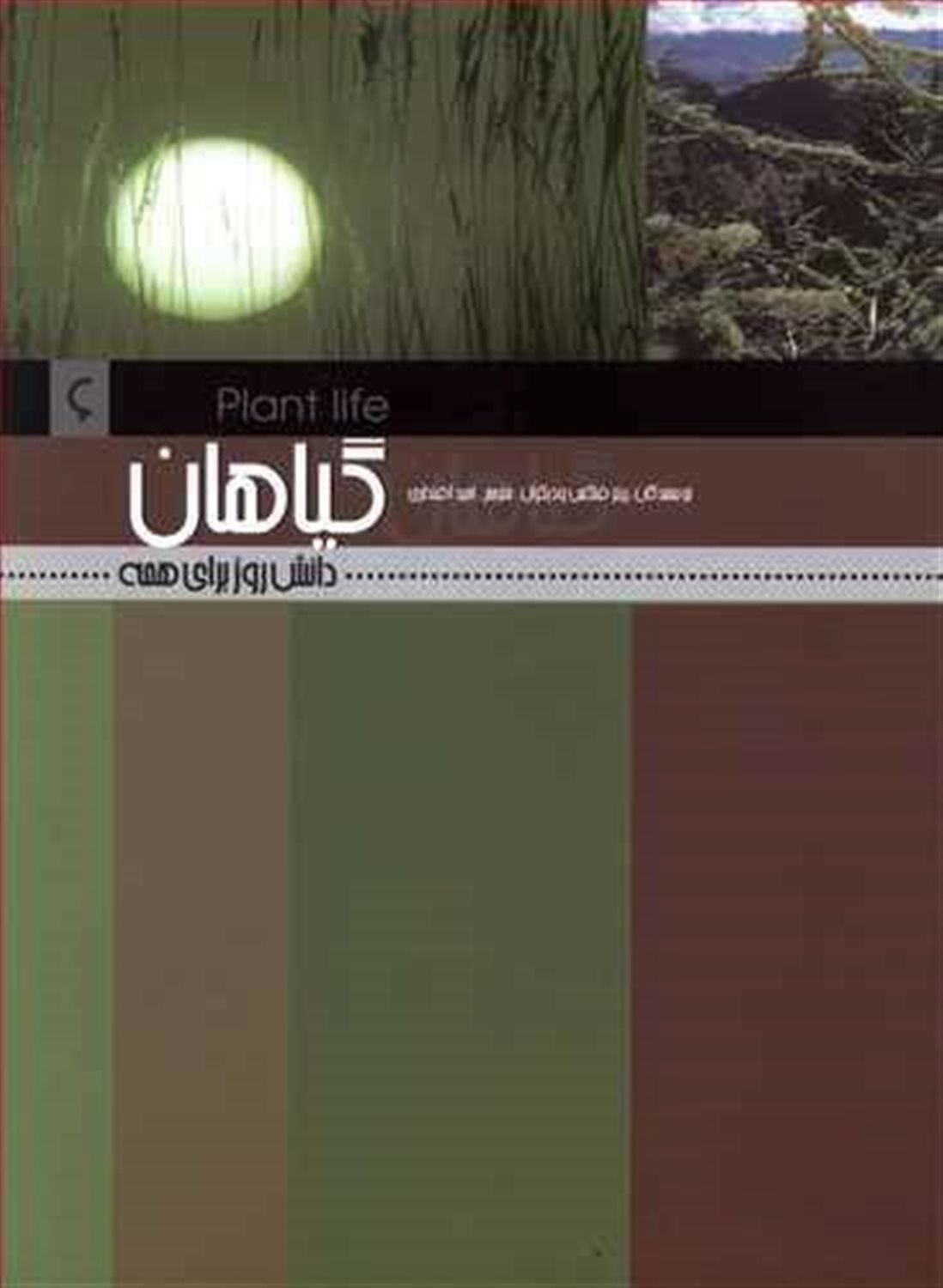 گیاهان 
