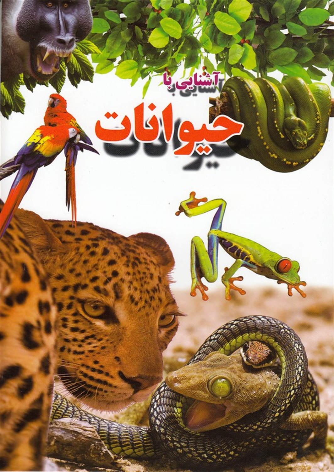 آشنایی با حیوانات 