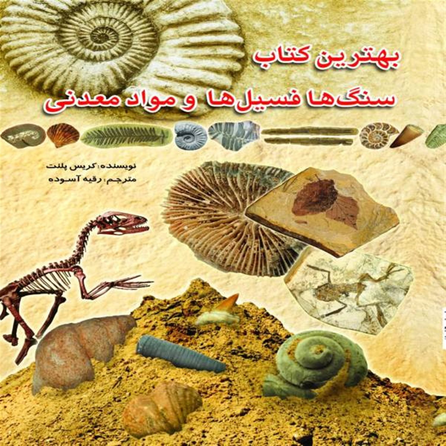 بهترین کتاب سنگ‌ها، فسیل‌ها و مواد معدنی