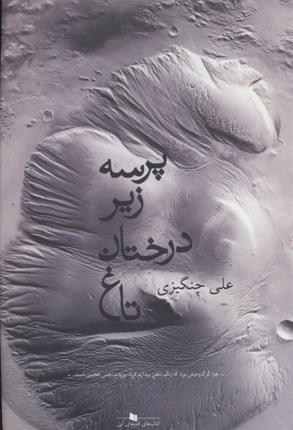 پرسه زیر درختان تاغ