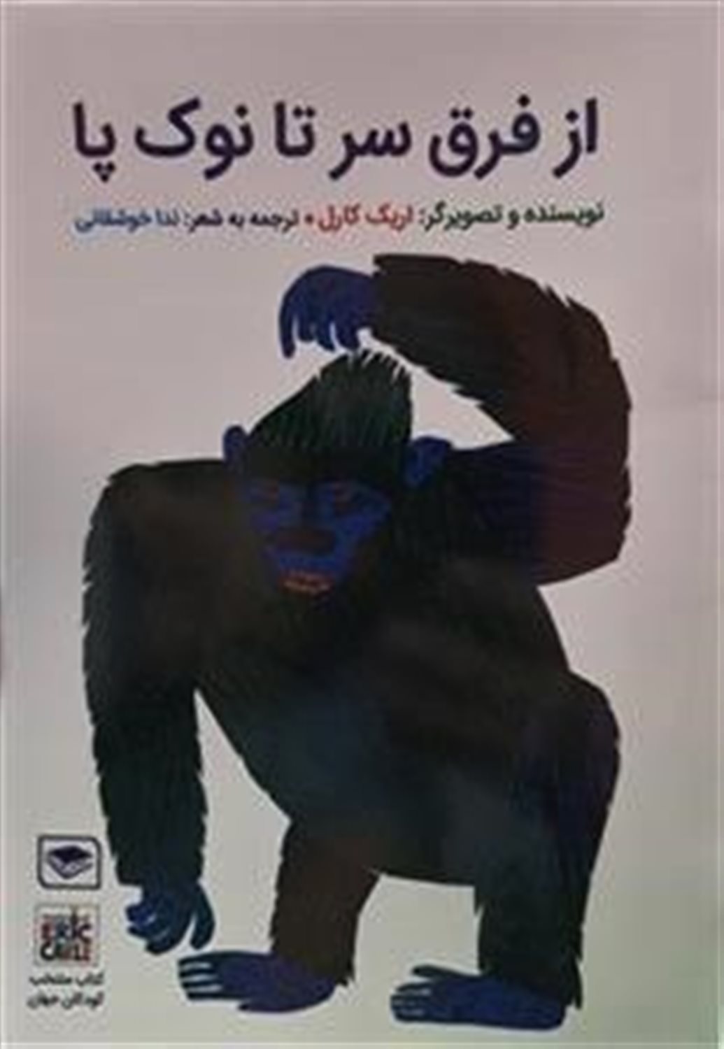 از فرق سر تا نوک پا 