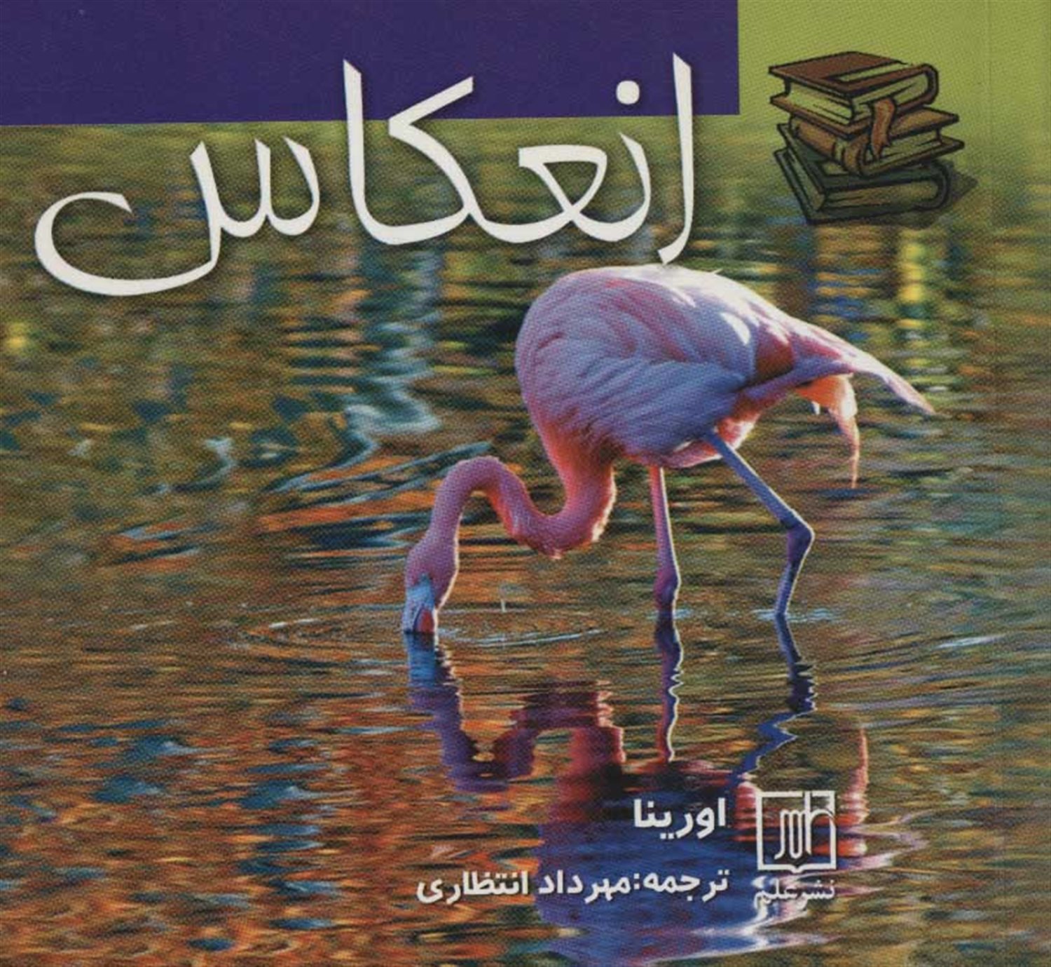 انعکاس 