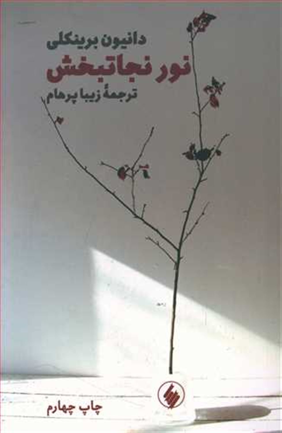 نور نجاتبخش 