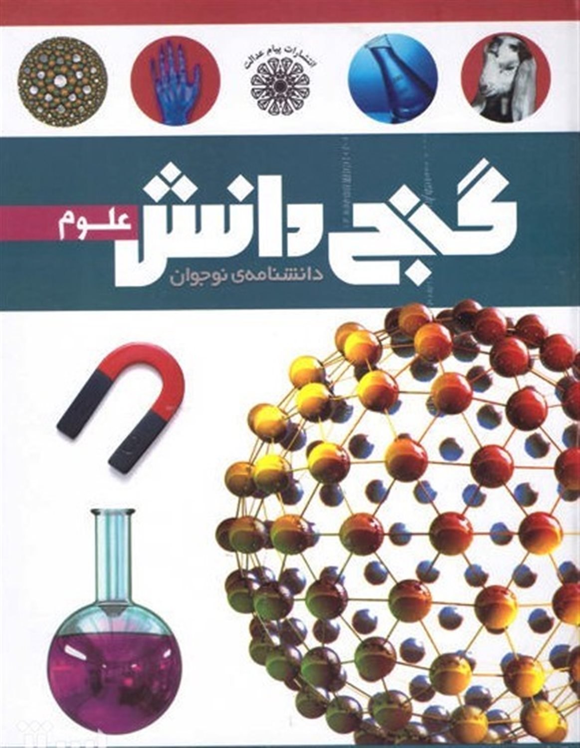 گنج دانش علوم