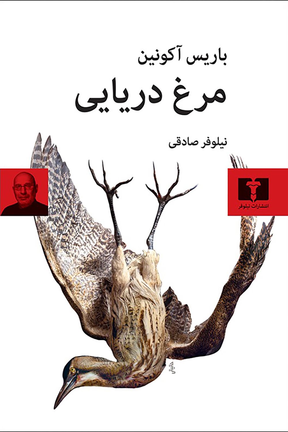مرغ دریایی 