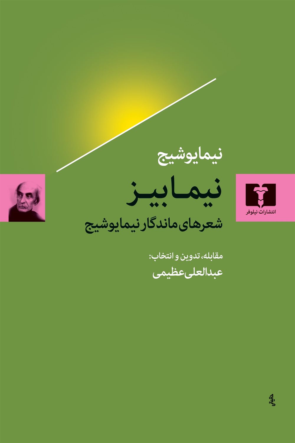 نیمابیز 