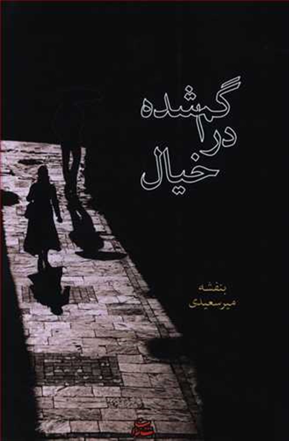گم شده در خیال 