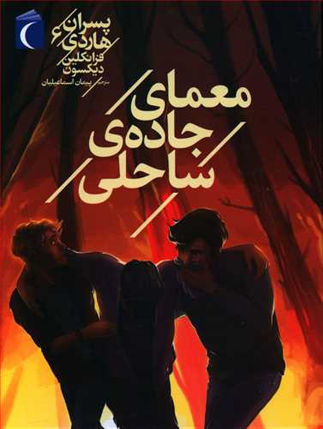 پسران هاردی 6 (معمای جاده‌ی ساحلی)
