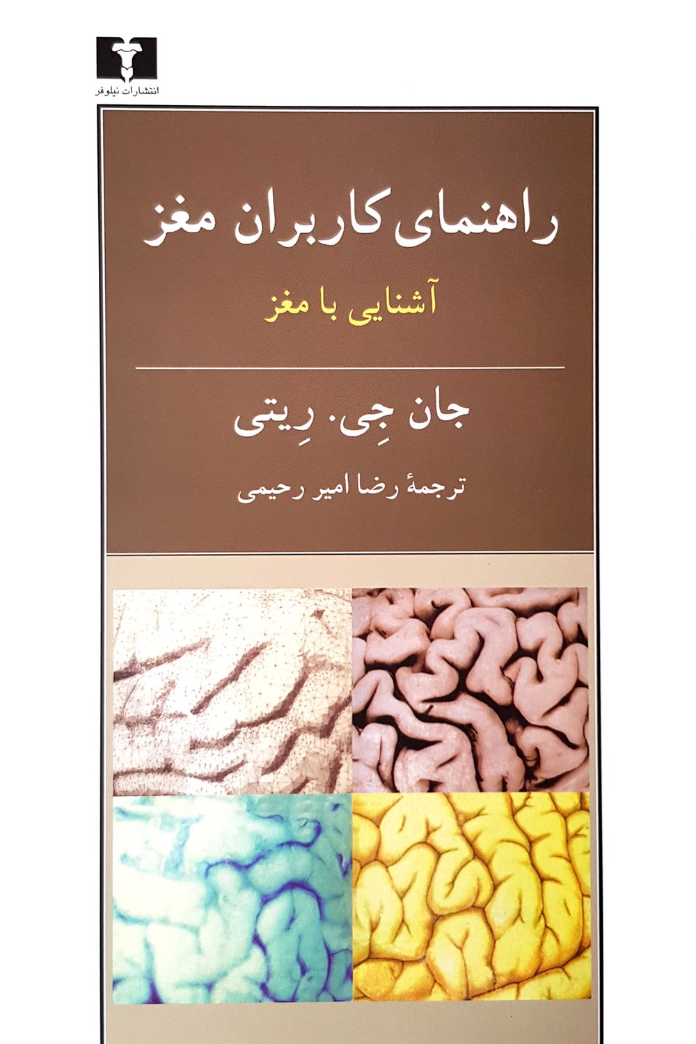راهنمای کاربران مغز