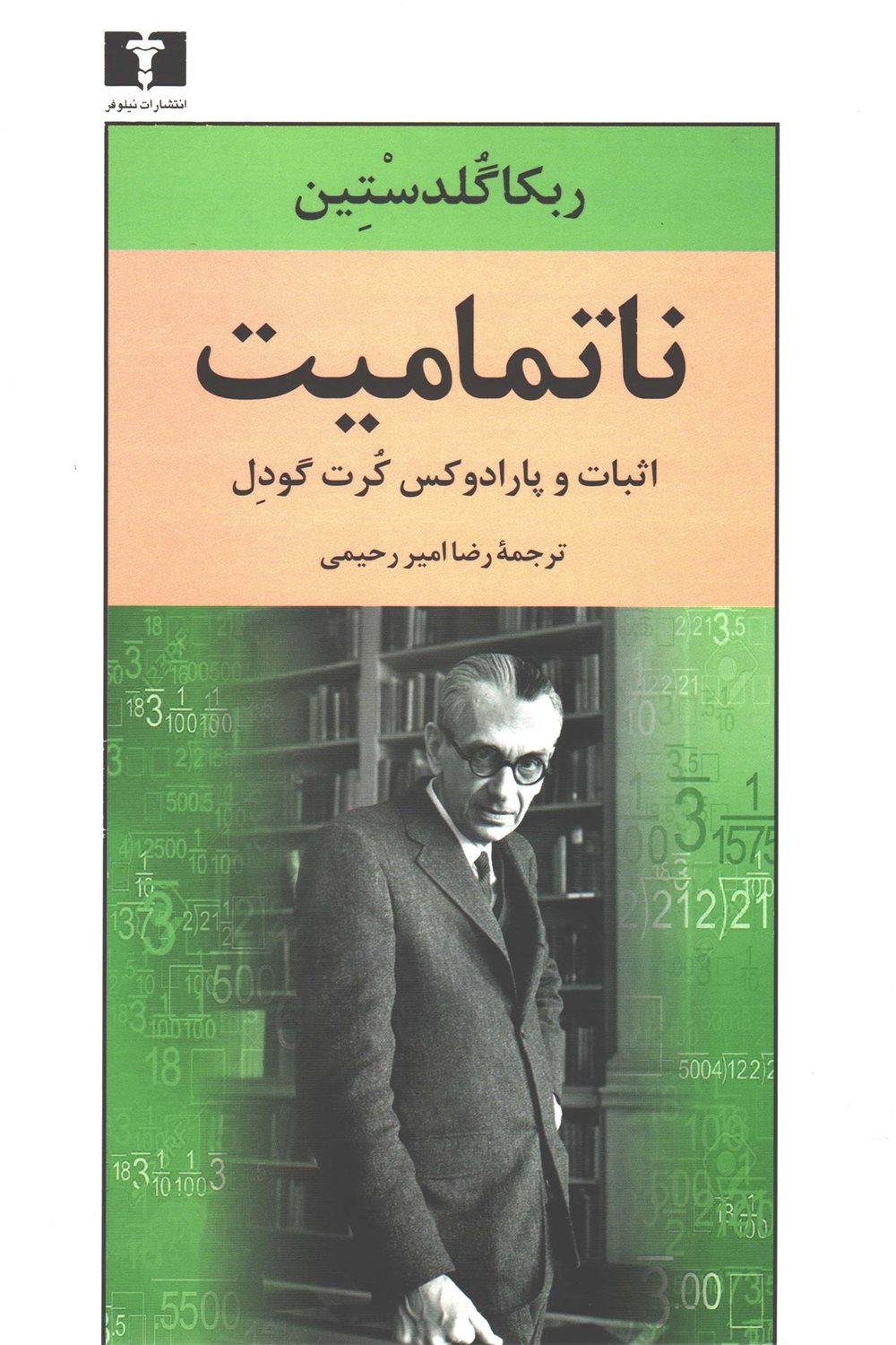 ناتمامیت