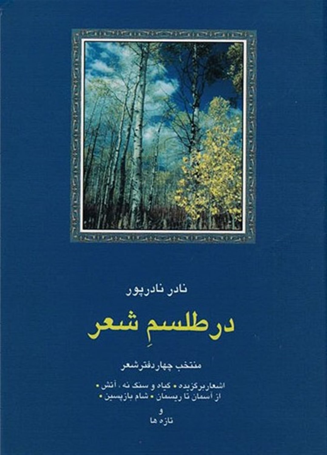 در طلسم شعر 