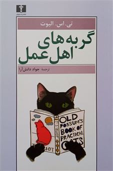 کتاب-گربه-های-اهل-عمل