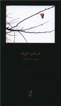 کتاب-در-شب-دیرند-اثر-محمد-صنعت-کار