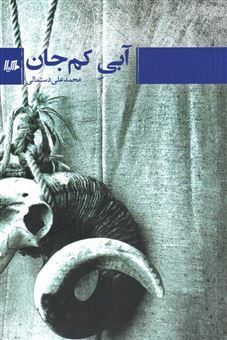 کتاب-انتشارات-هیلا‏‫-64-اثر-محمدعلی-دستمالی