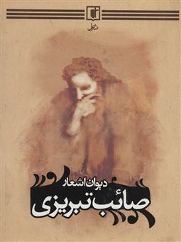 دیوان صائب تبریزی 3جلدی