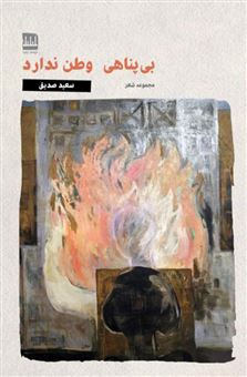 کتاب-بی-پناهی-وطن-ندارد-اثر-سعید-صدیق