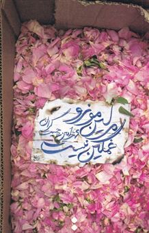 کتاب-مرلین-مونرو-غمگین-نیست