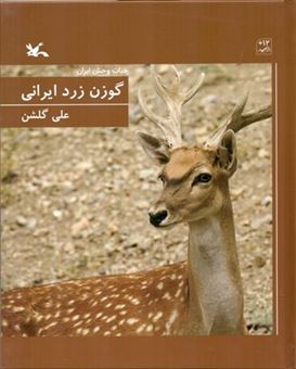 کتاب-حیات-وحش-ایران-گوزن-زرد-ایرانی-اثر-علی-گلشن
