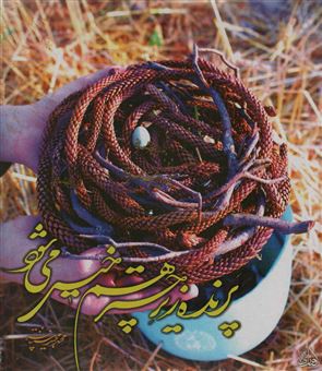 کتاب-پرنده-زیر-چتر-هم-خیس-می-شود-اثر-محمدمجید-سپنتافر
