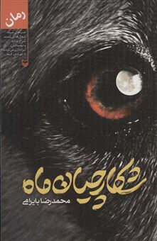 کتاب-شکارچیان-ماه-اثر-محمدرضا-بایرامی