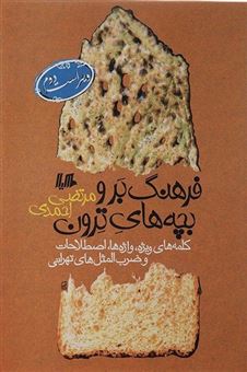 کتاب-فرهنگ-بر-و-بچه-های-ترون-اثر-مرتضی-احمدی