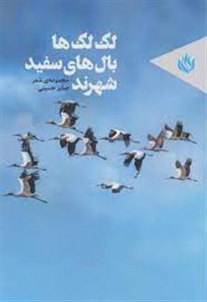 کتاب-لک-لک-ها-بال-های-سفید-شهرند-مجموعه-ی-شعر-اثر-صابر-حسینی