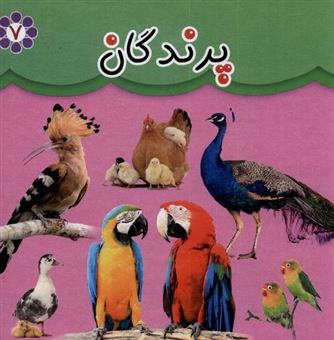 کتاب-پرندگان