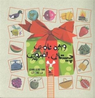 کتاب-واژه-نامه-ی-چیستانی-تصویری-اثر-محمدهادی-محمدی