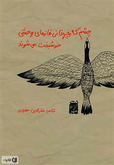 کتاب-چشم-که-بچرخانی-غازهای-وحشی-خوشبخت-می-شوند-اثر-فخرالدین-سعیدی