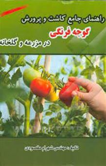 راهنمای جامع کاشت و پرورش گوجه فرنگی در مزرعه و گلخانه