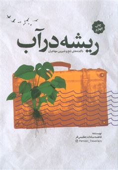 کتاب-ریشه-در-آب-اثر-فاطمه-سادات-عظیمی-فر