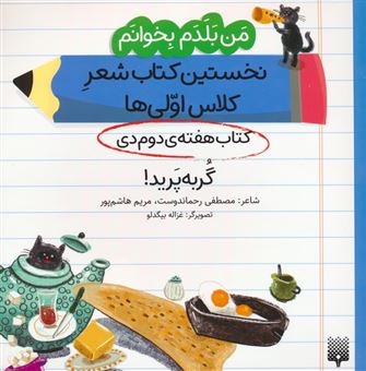 کتاب-کتاب-هفته-دوم-دی-گربه-پرید-اثر-مصطفی-رحماندوست