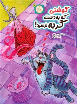 کتاب-مثل-آباد-2-گوشتی-که-به-دست-گربه-نرسید-اثر-سعید-رزاقی