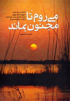 کتاب-می-روم-تا-مجنون-بماند-اثر-حسن-سجادی-پور