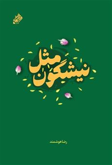 کتاب-مثل-نیشگون-اثر-رضا-هوشمند