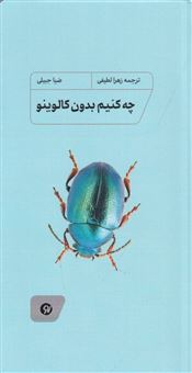 کتاب-چه-کنیم-بدون-کالوینو-اثر-ضیا-جبیلی