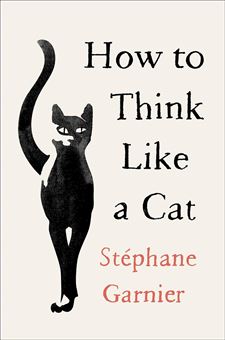 کتاب-how-to-think-linke-a-cat-چطور-مثل-گربه-فکر-کنیم-اثر-استفان-گارنیه