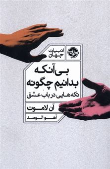 کتاب-بی-آنکه-بدانیم-چگونه-تکه-هایی-در-باب-عشق-اثر-آن-لاموت