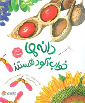 کتاب-دانه-ها-خواب-آلود-هستند-اثر-دایانا-هاتس-استون