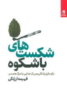 کتاب-شکست-های-باشکوه-اثر-فهیمه-ارژنگی