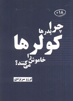 کتاب-چرا-پدرها-کولرها-را-خاموش-می-کنند؟-اثر-برزو-سریزدی