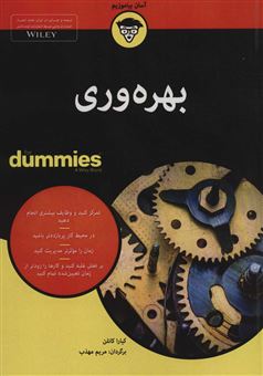 کتاب-بهره-وری-اثر-کیارا-کانلن