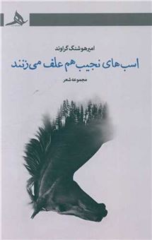 کتاب-اسب-های-نجیب-هم-علف-می-زنند-اثر-امیرهوشنگ-گراوند