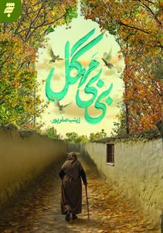 کتاب-بی-بی-مهگل-اثر-زینب-صفرپور